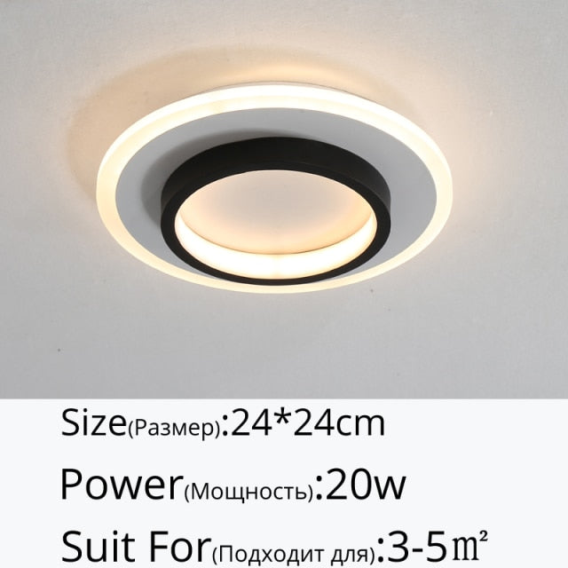 Modern Minimalist  LED ceiling light