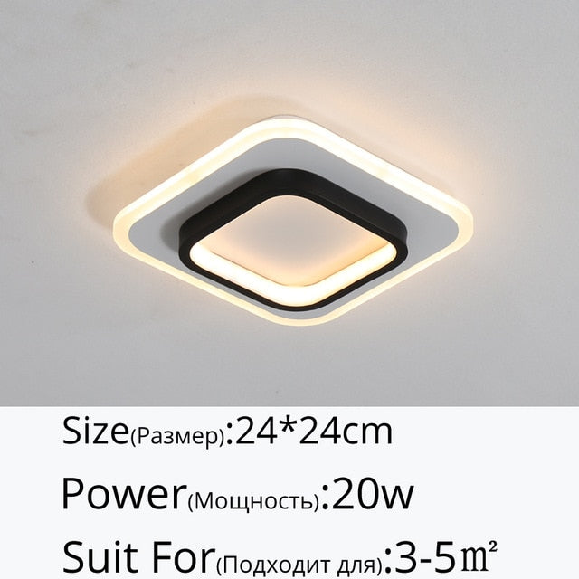 Modern Minimalist  LED ceiling light