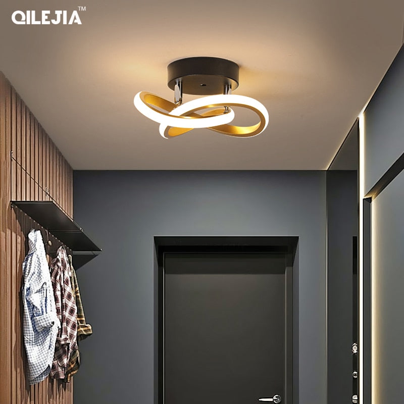 Modern Minimalist  LED ceiling light